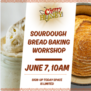 workshop June 7