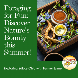 Foraging for Fun