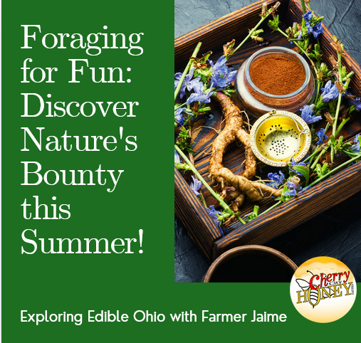 Foraging for Fun