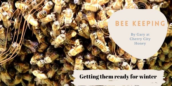 Getting Bee's Ready for Winter
